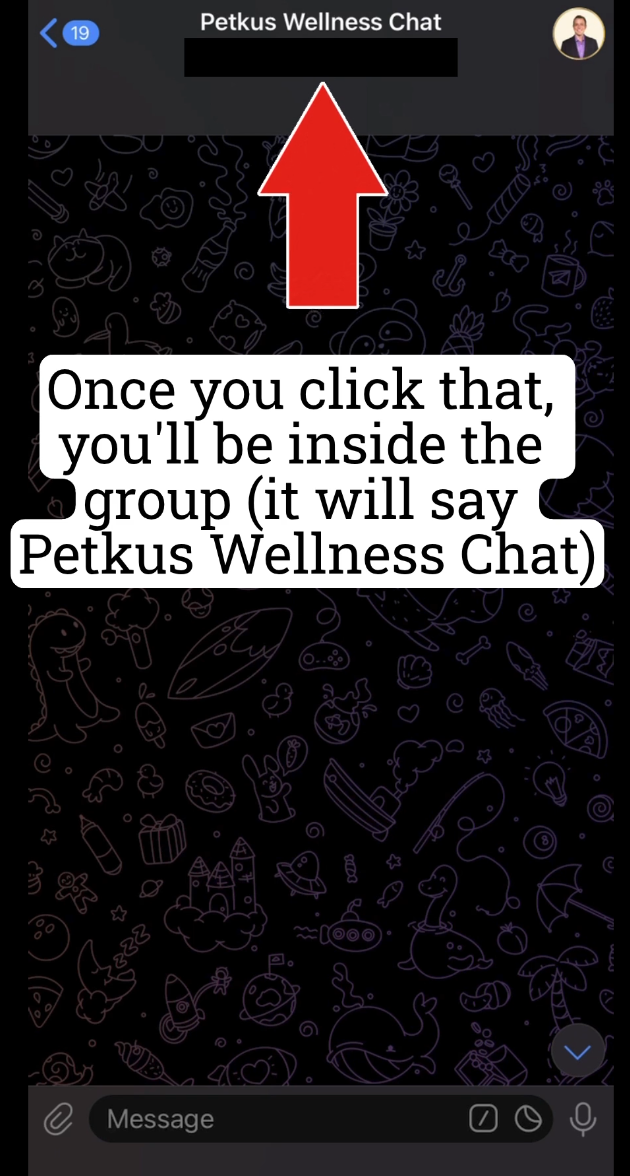 Petkus Wellness Bot Screenshot